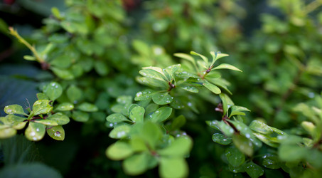 Similar image 1440640