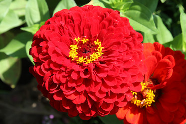 Similar image 1440666