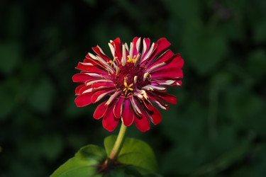 Similar image 1440667