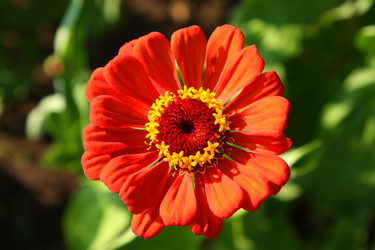 Similar image 1440668