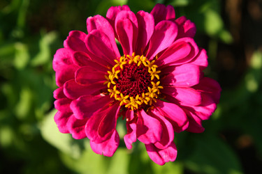 Similar image 1440669