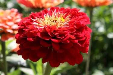 Similar image 1440670