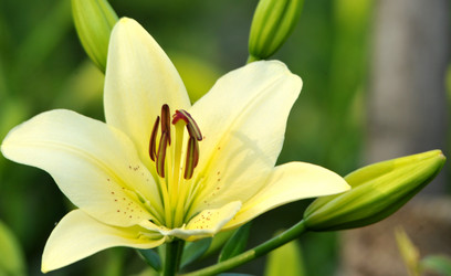 Similar image 1440698