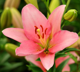 Similar image 1440699