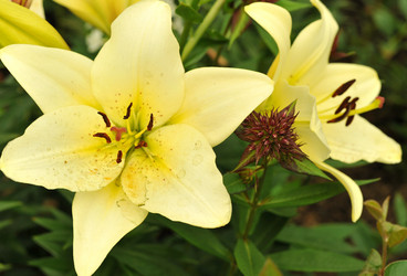 Similar image 1440700