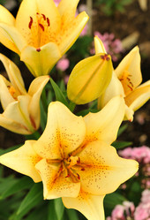 Similar image 1440701