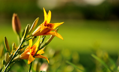 Similar image 1440704