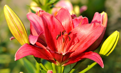 Similar image 1440705