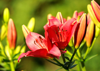 Similar image 1440706