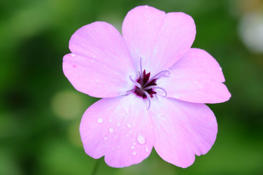 Similar image 1440736