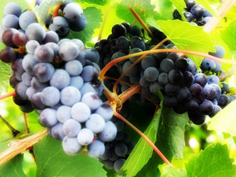 Similar image 1440750