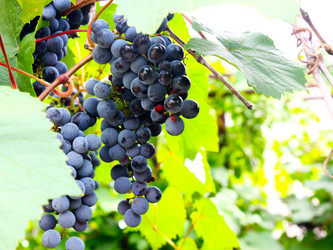 Similar image 1440763