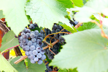 Similar image 1440764