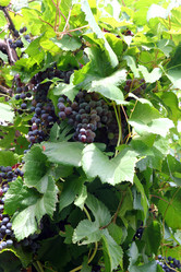 Similar image 1440772