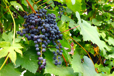 Similar image 1440773