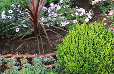 Similar image 1440775