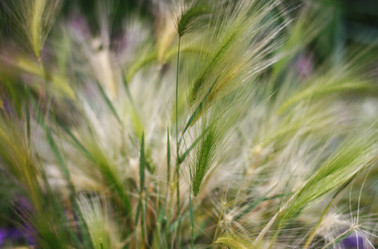 Similar image 1440776