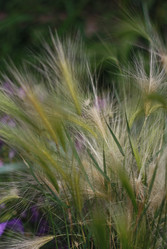 Similar image 1440777