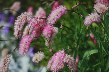 Similar image 1440778