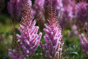 Similar image 1440779