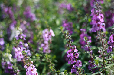 Similar image 1440781