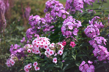 Similar image 1440782