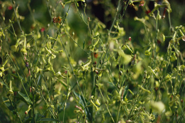 Similar image 1440783