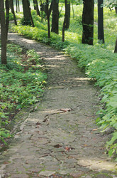 Similar image 1440784