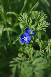 Similar image 1440786