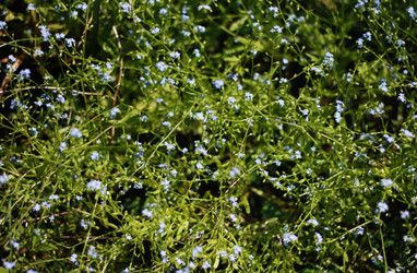 Similar image 1440790