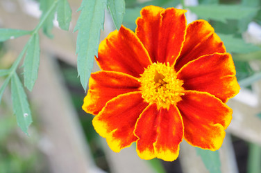 Similar image 1440817