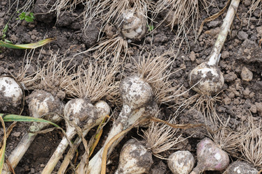 Similar image 1440818