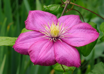 Similar image 1440821