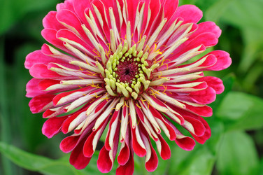 Similar image 1440822