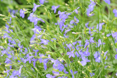 Similar image 1440823