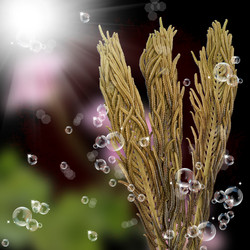 Similar image 1440824