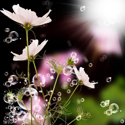 Similar image 1440826