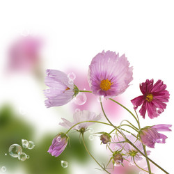 Similar image 1440827