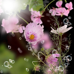 Similar image 1440828