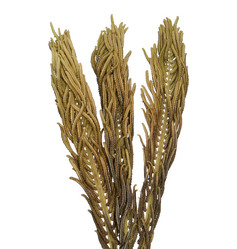 Similar image 1440831