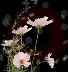 Similar image 1440832