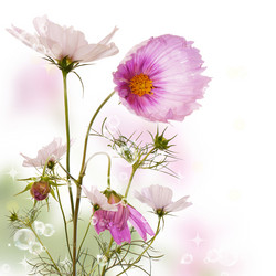 Similar image 1440861