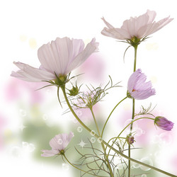 Similar image 1440864