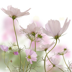 Similar image 1440865