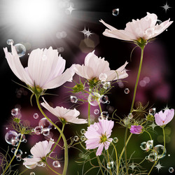 Similar image 1440866