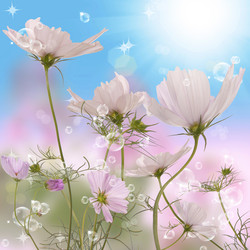 Similar image 1440867