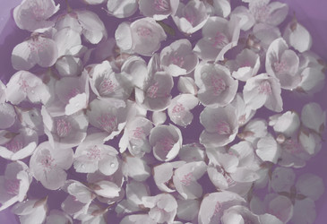 Similar image 1440869