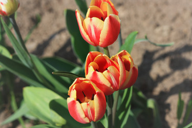 Similar image 1440872