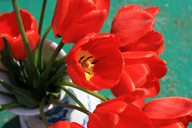 Similar image 1440873