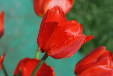 Similar image 1440874